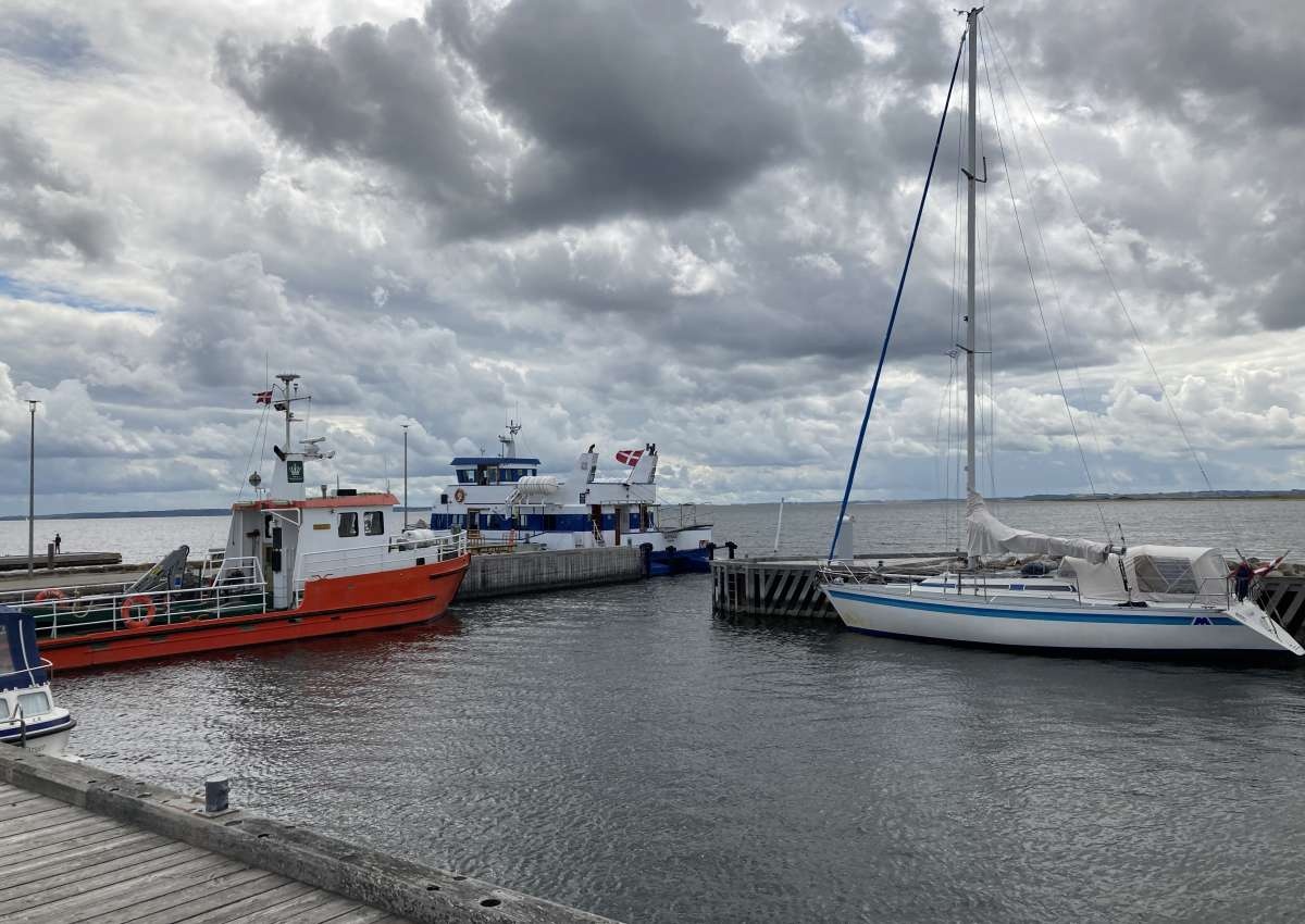 Livø Havn - Jachthaven