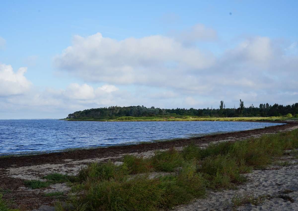 Femø - Marina near Sønderby