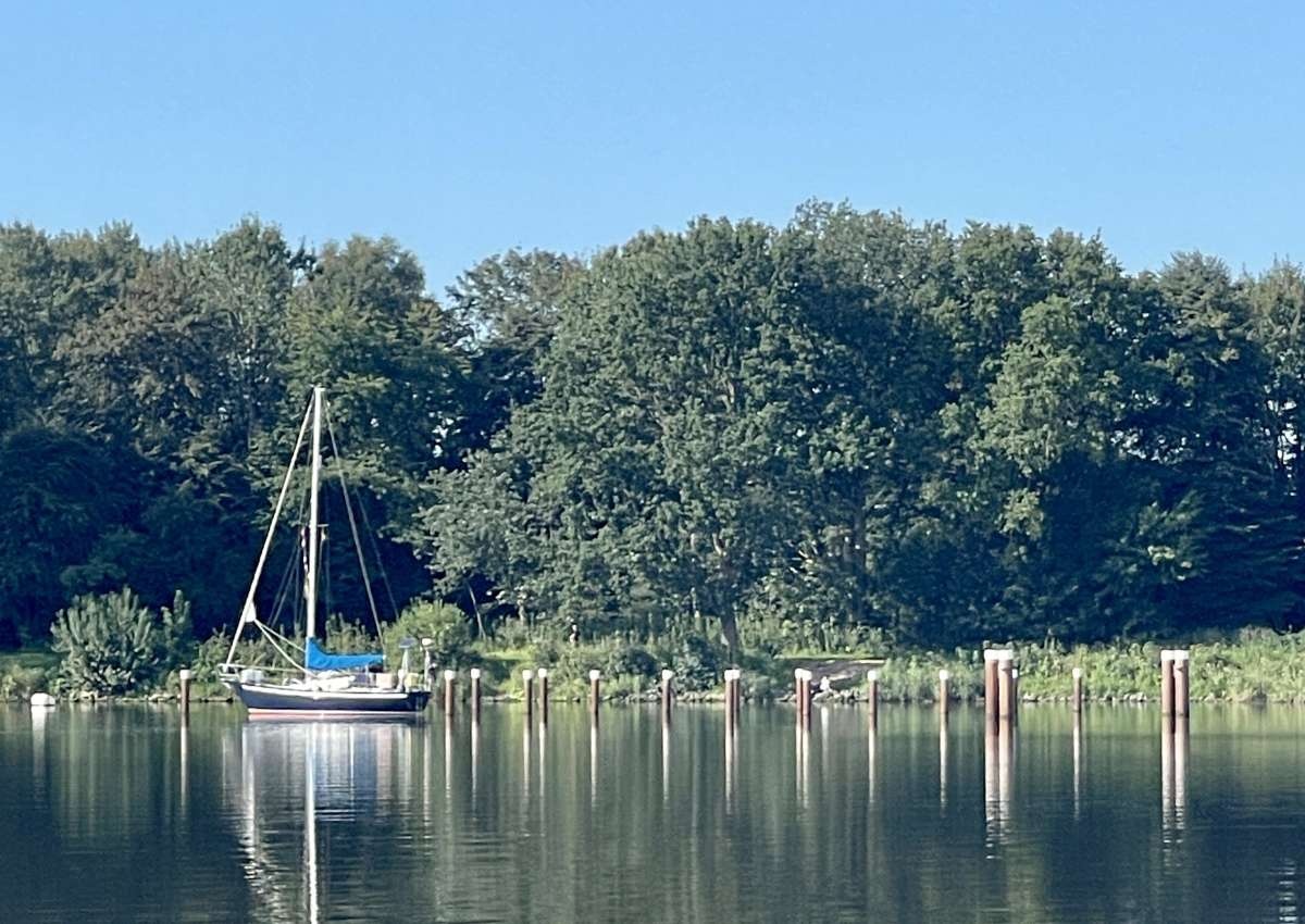 Wendestelle "Klein Westerland" - NOK Liegestelle für Sportboote - Ankerplaats in de buurt van Hochdonn