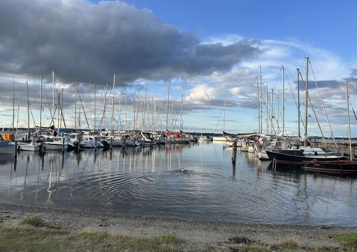 Avernakø (Bådehavn) - Hafen bei Avernakø By