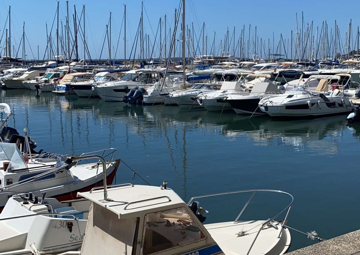 Port de Golfe-Juan - CCI Nice Côte d'Azur - Hafen bei Vallauris (Super Cannes)